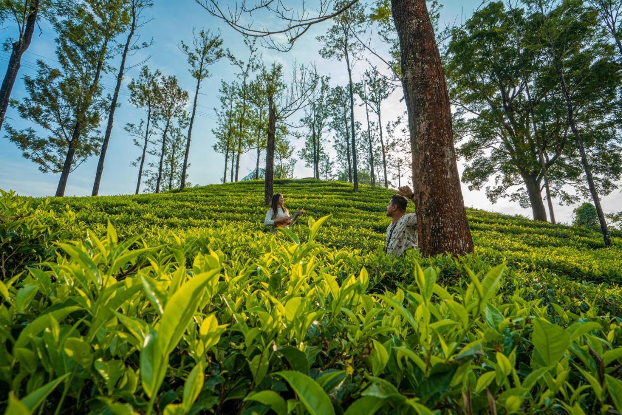 Zostel Plus Wayanad Kalpatta Exterior foto